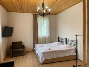 Teona's Guesthouse in Mestia